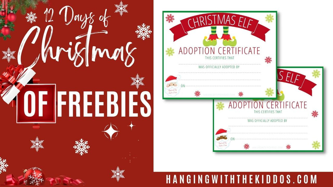 Free Christmas Printable: Elf Adoption Certificate |12 Days of Christmas Freebies